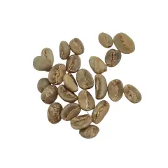 Indonesien Kalossi gr. 1, r&aring; b&oslash;nner - 