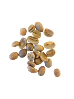 Uganda Bugisu - rå bønner - Afrikansk kaffe