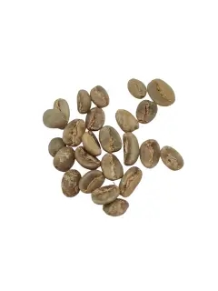 Indonesien Kalossi gr. 1, rå bønner - Friskristet kaffe