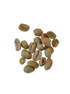 Koffeinfri Arabica Økologisk - rå bønner - Rå bønner koffeinfri